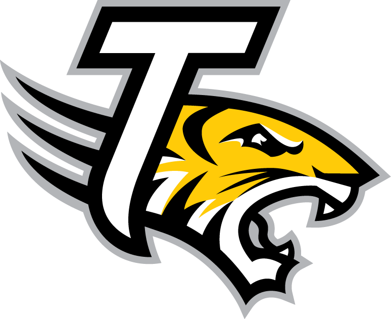 Towson Tigers 2004-Pres Alternate Logo v5 iron on transfers for T-shirts